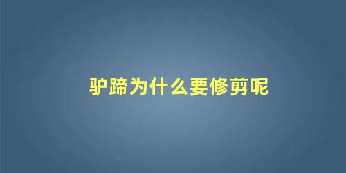驴蹄为什么要修剪呢