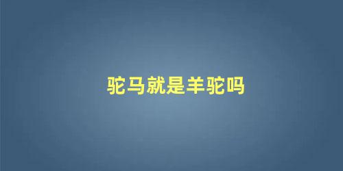 驼马就是羊驼吗