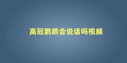 高冠鹦鹉会说话吗视频