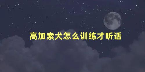 高加索犬怎么训练才听话