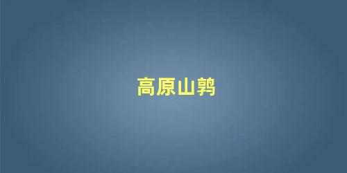 高原山鹑