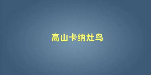 高山卡纳灶鸟