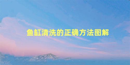 鱼缸清洗的正确方法图解