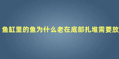 鱼缸里的鱼为什么老在底部扎堆需要放点什么药