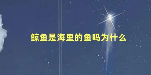 鲸鱼是海里的鱼吗为什么