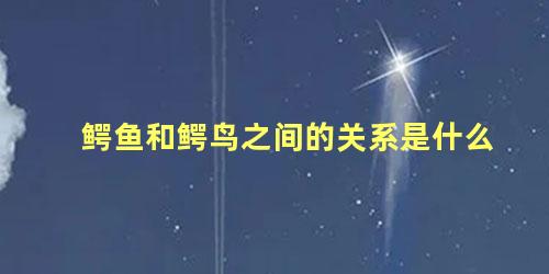 鳄鱼和鳄鸟之间的关系是什么