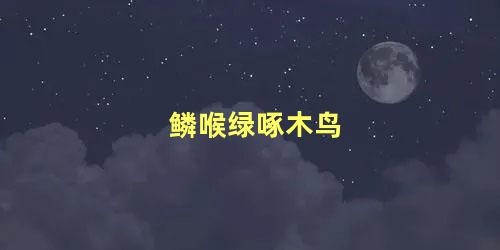 鳞喉绿啄木鸟