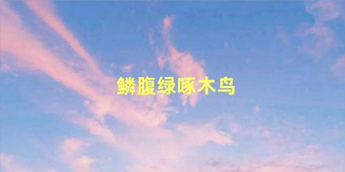 鳞腹绿啄木鸟
