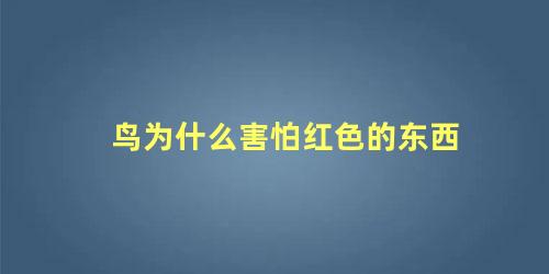 鸟为什么害怕红色的东西