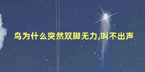 鸟为什么突然双脚无力,叫不出声