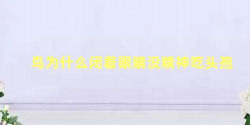 鸟为什么闭着眼睛没精神吃头孢