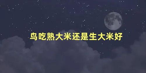 鸟吃熟大米还是生大米好