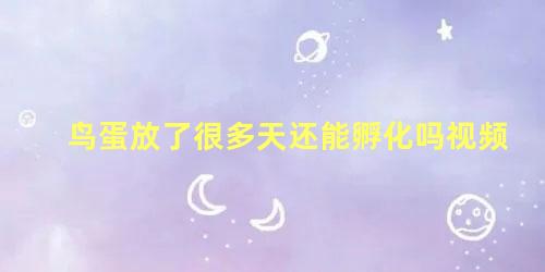 鸟蛋放了很多天还能孵化吗视频