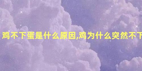 鸡不下蛋是什么原因,鸡为什么突然不下蛋了