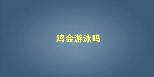 鸡会游泳吗