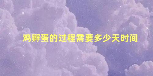 鸡孵蛋的过程需要多少天时间