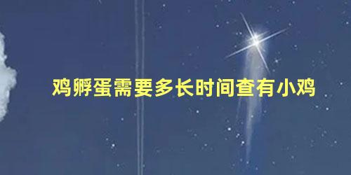 鸡孵蛋需要多长时间查有小鸡