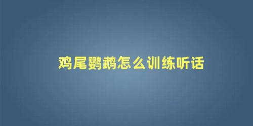 鸡尾鹦鹉怎么训练听话