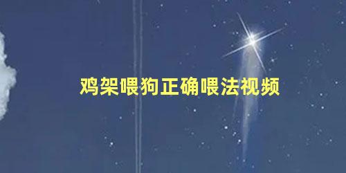 鸡架喂狗正确喂法视频