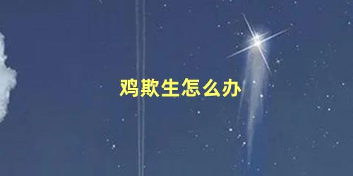 鸡欺生怎么办