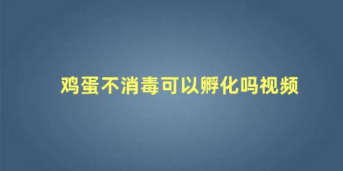 鸡蛋不消毒可以孵化吗视频