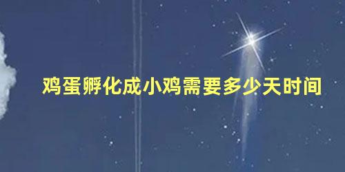 鸡蛋孵化成小鸡需要多少天时间