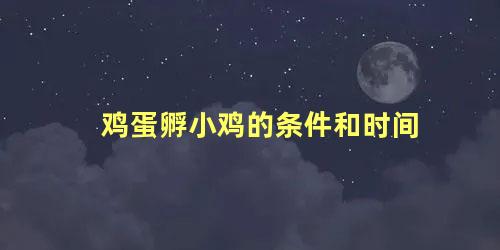 鸡蛋孵小鸡的条件和时间