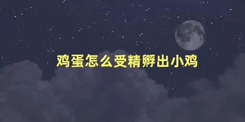 鸡蛋怎么受精孵出小鸡