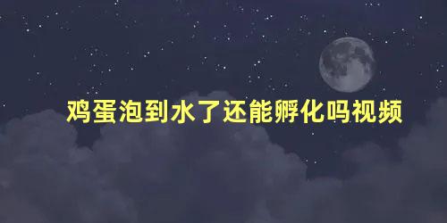 鸡蛋泡到水了还能孵化吗视频