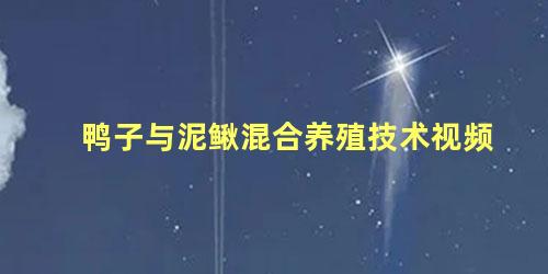 鸭子与泥鳅混合养殖技术视频
