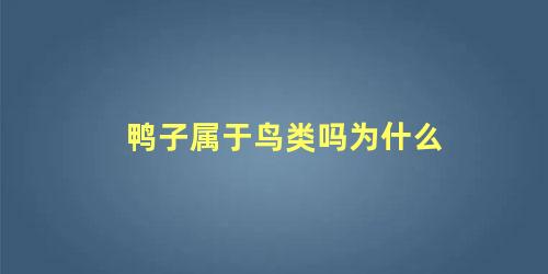 鸭子属于鸟类吗为什么