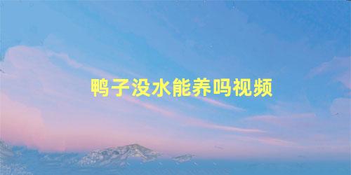 鸭子没水能养吗视频