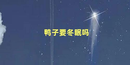 鸭子要冬眠吗