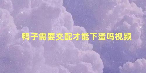 鸭子需要交配才能下蛋吗视频