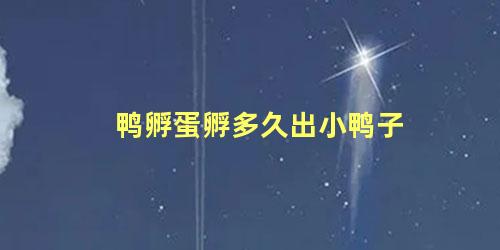 鸭孵蛋孵多久出小鸭子