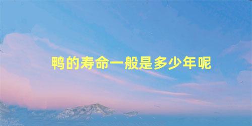鸭的寿命一般是多少年呢