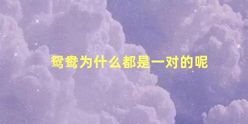 鸳鸯为什么都是一对的呢