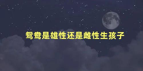 鸳鸯是雄性还是雌性生孩子