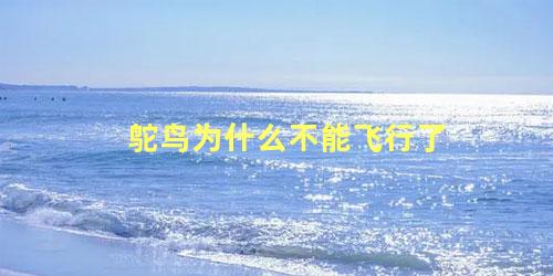 鸵鸟为什么不能飞行了
