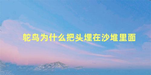 鸵鸟为什么把头埋在沙堆里面