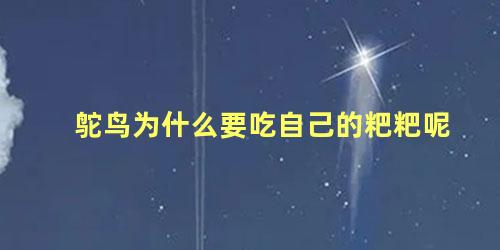 鸵鸟为什么要吃自己的粑粑呢