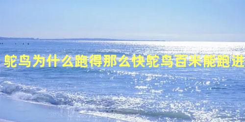 鸵鸟为什么跑得那么快鸵鸟百米能跑进九秒吗