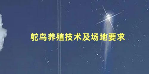 鸵鸟养殖技术及场地要求