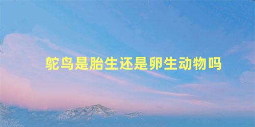 鸵鸟是胎生还是卵生动物吗