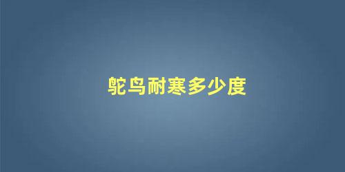 鸵鸟耐寒多少度