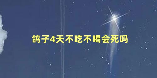 鸽子4天不吃不喝会死吗
