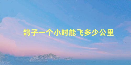鸽子一个小时能飞多少公里
