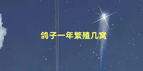鸽子一年繁殖几窝