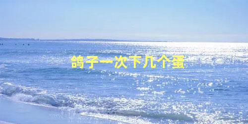 鸽子一次下几个蛋