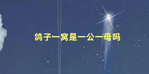鸽子一窝是一公一母吗